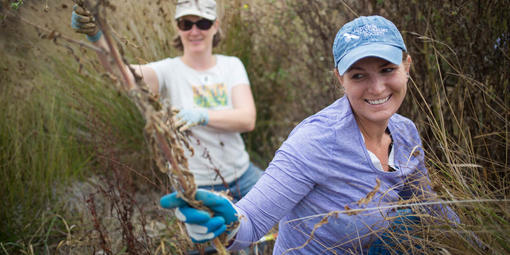 Volunteers at Work