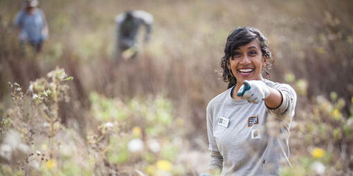 Parks Conservancy Identifying Native Plants