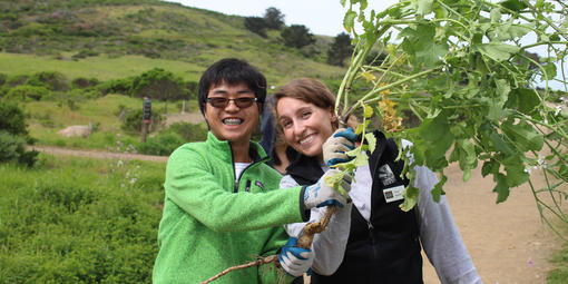 Park Stewardship Intern and Volunteer