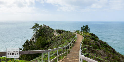 boardwalk to a Muir Beach overlook