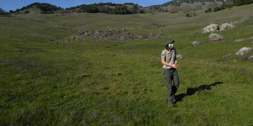 A park ranger walks in a green field on a clear day. The blue sky is visible behind rolling hills.