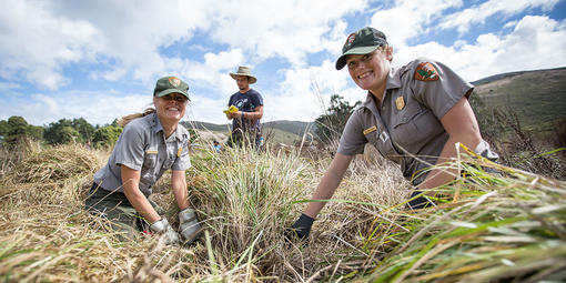 National Park Rangers at Work in Tennessee Valley