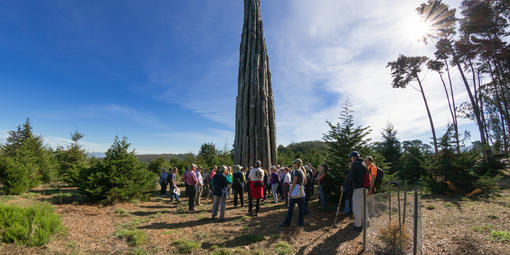 A docent led tour group gathers at Goldsworthy's "Spire" in the Presidio.