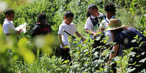 Students examine native plants in the demonstration garden.