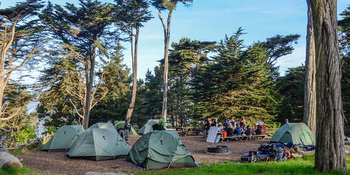 A group of adults sit outside on a sunny day eating lunch at a picnic bench under eucalyptus trees while surrounded by camping tents