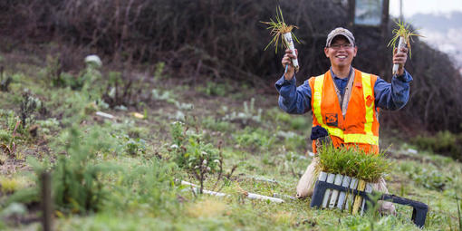 Intern Planting in the Presidio