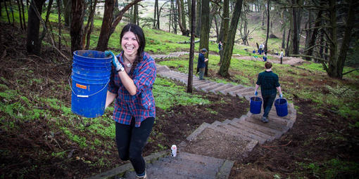 Presidio Forest Stewards Volunteer