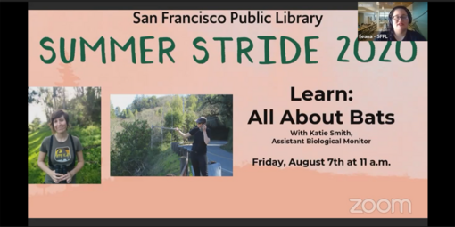 Summer Stride 2020: All About Bats with Katie Smith