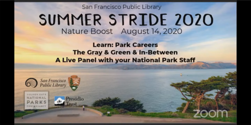 Summer Stride 2020: Park Careers, The Gray & Green & In Between