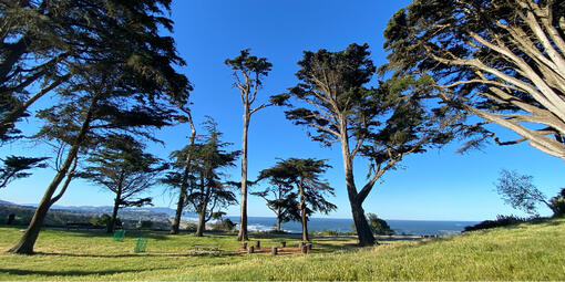 Sutro Heights Park with Ocean Beach in the background