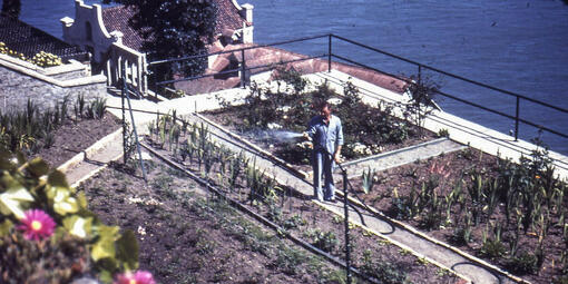 A historical photo of an incarcerated gardener watering plants in the gardens of Alcatraz. 