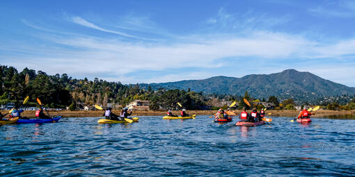 A group Kayaking at Bothin Marsh in Marin, with Mount Tamalpais in the background.