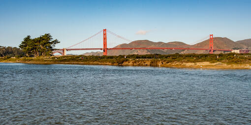 A view of the Golden Gate Bridge from the Tidal Marsh at Crissy Field.