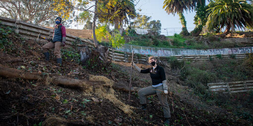 Parks Conservancy staff working to restore the Black Point Historical Garden at Fort Mason.