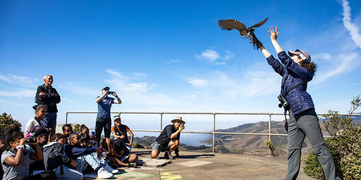 A Golden Gate Raptor Observatory volunteer releases a bird for the educational youth program Migratory Stories.