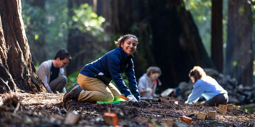 Staff and volunteers doing stewardship work in Muir Woods.