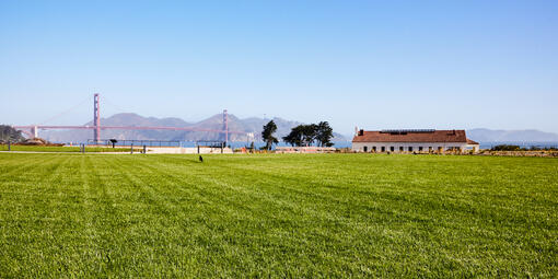 The Golden Gate Meadow, a lush green lawn that is the centerpiece for the Presidio Tunnel Tops.