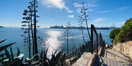 A staircase leads downward amid spiky agave plants at Alcatraz Island.