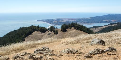 Views toward Bolinas from Willow Camp Fire Road