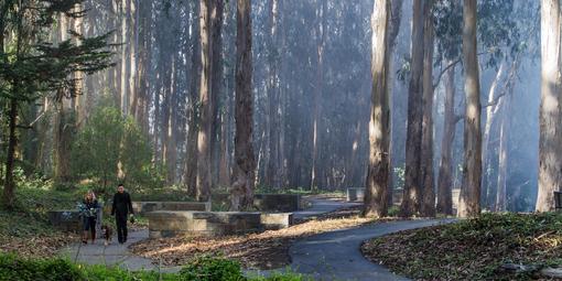 Presidio National Cemetery Overlook