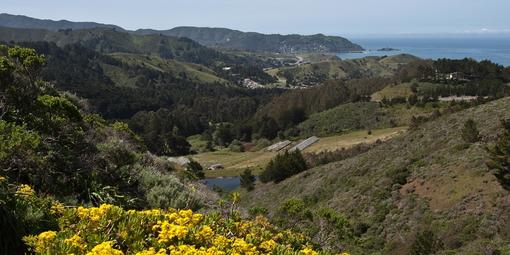 View toward the ocean from Sweeney Ridge