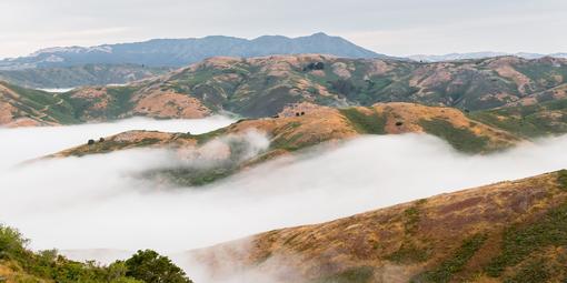 Fog rolls over the Marin Headlands