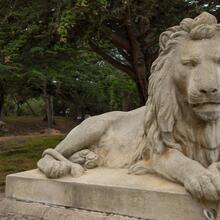 Lion statue at Sutro Heights Park
