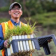 Volunteer at the Presidio