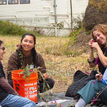 Academic Interns examining flower parts under microscopes.
