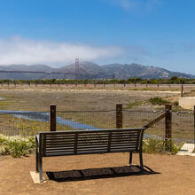 A sunny day over Crissy Field Marsh.