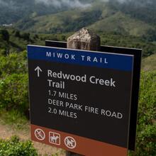 Trail signs along the Dias Ridge Trail