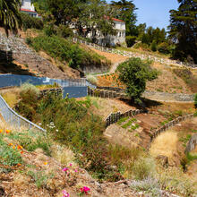 Black Point Historic Gardens with Flowers