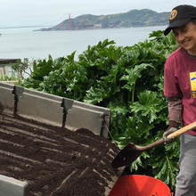 Volunteer on Alcatraz Island