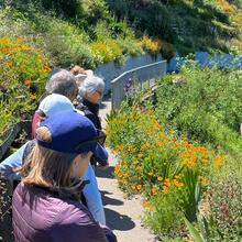 Natalie Korengold leading Parks Conservancy members through a tour of the gardens