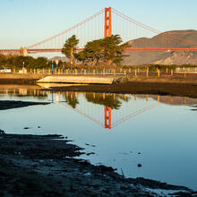 Golden Gate Bridge reflecting in Quartermaster Reach saltwater marsh