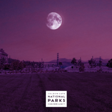 Pink Full Moon Hike and Party Design