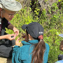 Discovering local flora and fauna during the City Nature Challenge.
