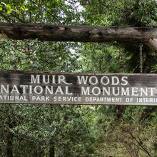 The main entrance to Muir Woods National Monument.