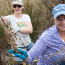 Volunteers at Work