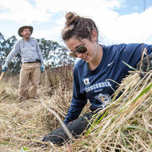 Habitat Restoration in Tennessee Valley