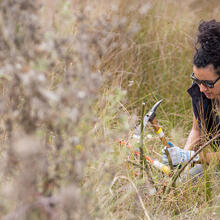 Stewardship work at Tennessee Valley.