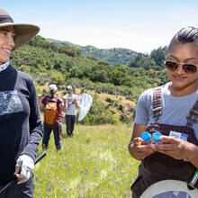 Two women carrying bug nets in a grassy field inspect specimen vials