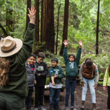 Muir Woods with ranger and kids