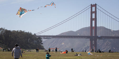 Kite flying at Crissy Field