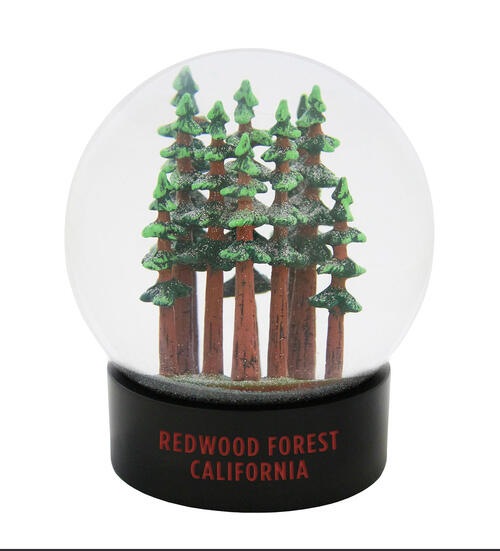Hand-painted coast redwood trees inside a fog globe. The globe bays says "Redwood Forest, California".