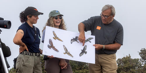 Parks Conservancy Golden Gate Raptor Observatory staff holding a sign and identifying raptor species.