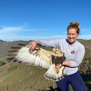 Banding Manager, Teresa Ely, holding a Rough-legged Hawk