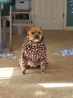 Onesie charlie