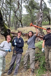 Marin Water, Conservancy Staff and community volunteer at habitat restoration day on Mt. Tam