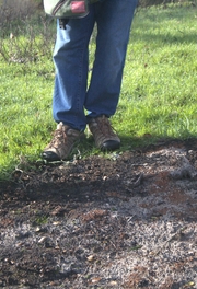Community member observes burn scar after recent prescribed burn at Bon Tempe Lake